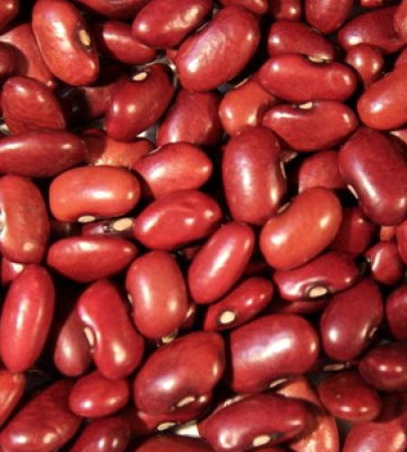 kidney-beans